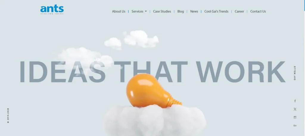 influencer marketing agencies in india - ANTS Digital