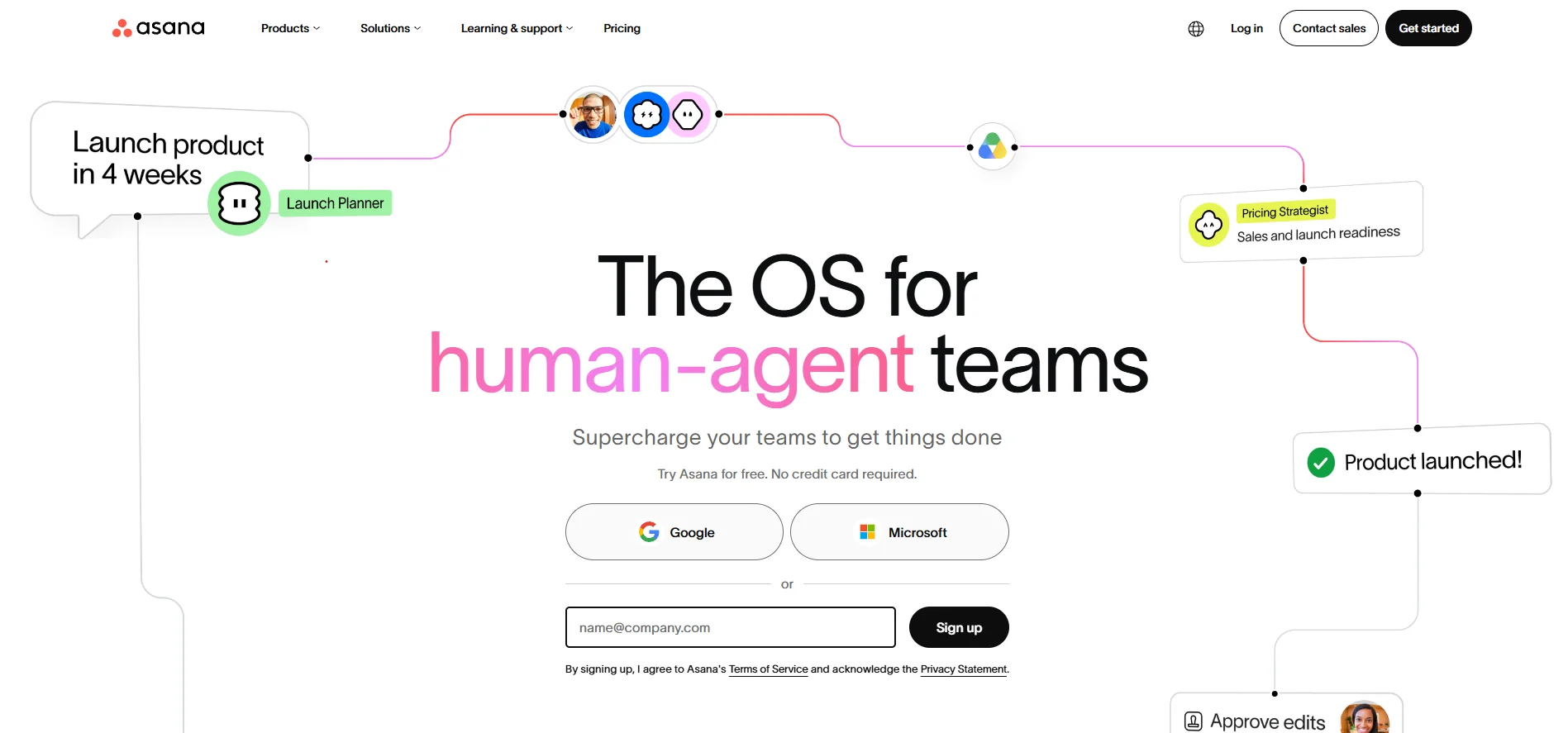 Notion Alternatives- Asana