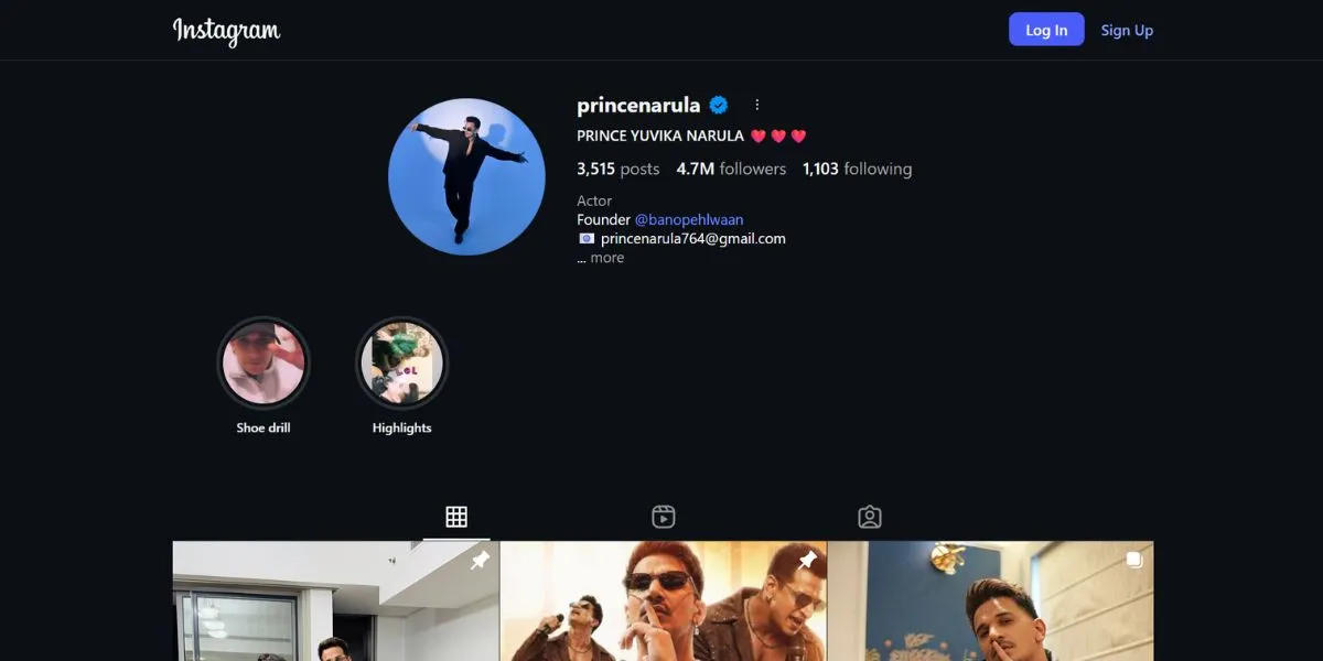 Prince Narula - Punjabi Influencers on instagram