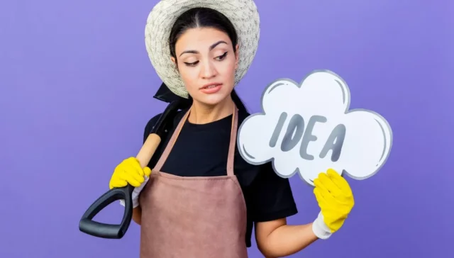 Business Ideas for Housewives