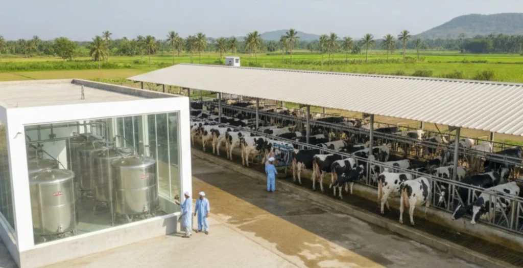 Business Idea in Gujarat - Dairy Farming & Value-Added Products
