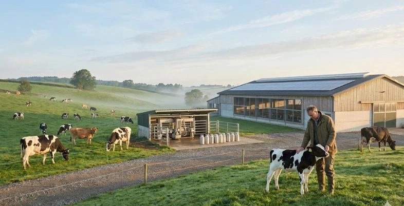 Farming Business Idea - Dairy Farming
