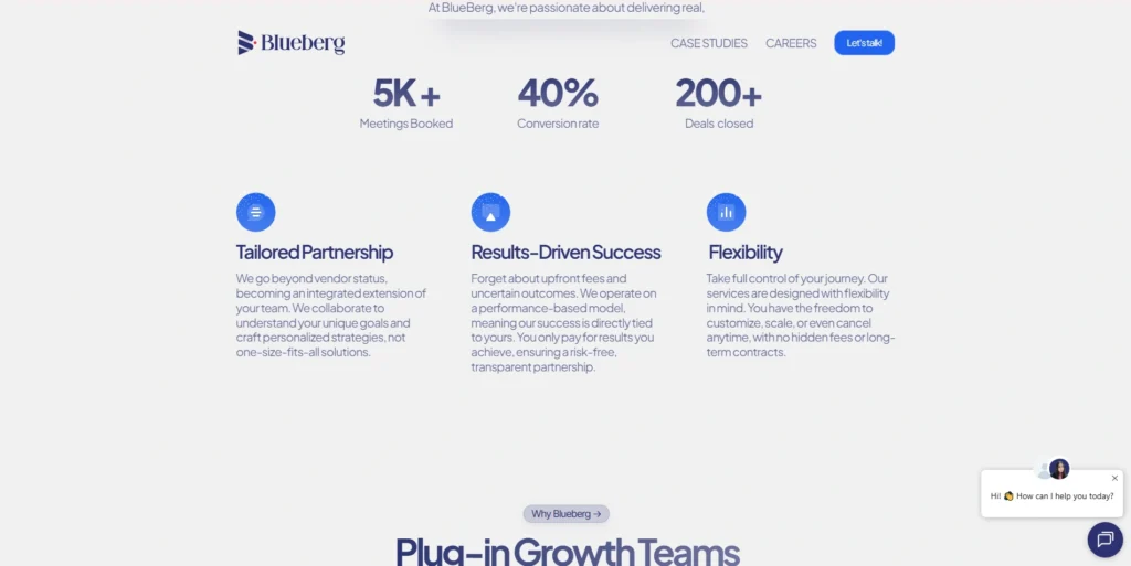 lead generation companies in India-Blueberg